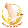 toki club